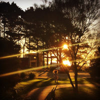Aviel Tamir entered this sunset photo.