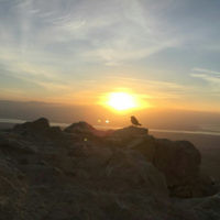 Daniel Gilad entered this photo taken from Masada at dawn.