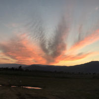 Renee Schneider entered this photo of sunset in the Hula Valley, Israel.