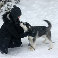 Teisha Cohen entered this holiday photo taken on Mount Baw Baw.