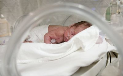 A premature infant in an incubator.