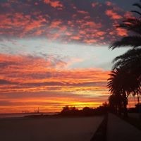 Peter Shonberg entered this sunset photo taken at Elwood.