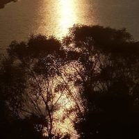 Michelle Israel entered this sunset photo.