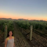 Rachel Shnider entered this photo of sunset over the vines in the Barossa Valley, South Australia.