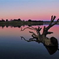 Sharon Flitman entered this sunset photo taken at at Caroar, NSW