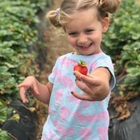 Yael Rothschild entered this photo of Sienna Richardson picking strawberries at Sunny Ridge, Victoria.