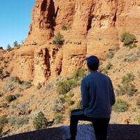 Yvonne Lieblich entered this photo taken in Arizona, USA.