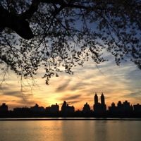 Aaron Neubauer entered this sunset photo taken in Central Park, New York.