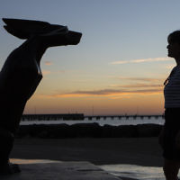 Debbie Lustig entered this sunset photo taken at Brighton's dog beach. 