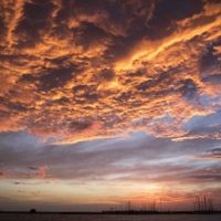 Debbie Lustig entered this sunset photo taken at Brighton's dog beach. 