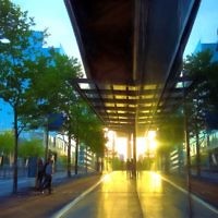 Jack Strom entered this sunset photo.