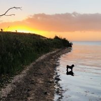 Josh Paneth entered this sunset photo.