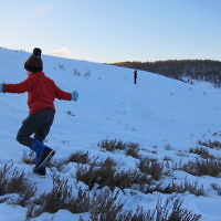 Karin Banna entered this holiday photo taken in the Snowy Mountains.