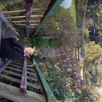 Melissa Morris entered this photo of Ashley at Jindivick Farm Rose Garden.