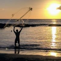 Michele Sharp entered this sunset photo taken in Honolulu, Hawaii.