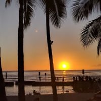 Michele Sharp entered this sunset photo taken in Honolulu, Hawaii.