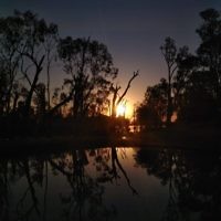 Talia Steinberg entered this sunset photo taken on the Murray River in South Australia.