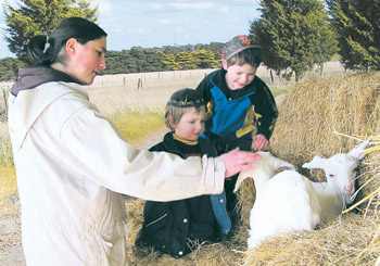 Photo: Students play with animals at the Bais Aron Azriel Torah Academy at its first premises in Greenvale in 2007