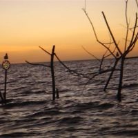 Sunset in Fiji in June 2009. Photo entered by Anita Amler.