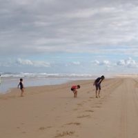 Beach holiday in Nelson Bay in April 2009. Photo entered by Michelle Klass of St Ives, NSW.