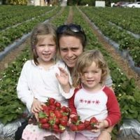 Strawberry picking on the Sunshine coast, Queensland, in July 2009. Photo entered by Naomi Manning of Berowra, NSW.
