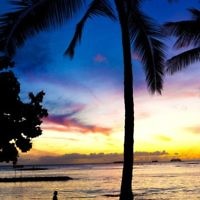 Sunset on Waikiki beach, Hawaii, in February 2009. Photo entered by Mark Zworestine of St Ives, NSW. Sunset on Waikiki beach, Hawaii, in February 2009. Photo entered by Mark Zworestine of St Ives, NSW.