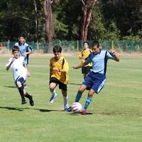 Maccabi Junior Carnival - state vs state, but all good mates. Photo: Kym Sher Maccabi Junior Carnival - state vs state, but all good mates. Photo: Kym Sher