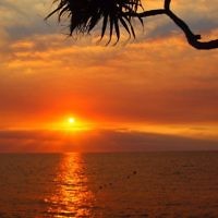 Sunset on Denarau Island, Fiji, in December 2009. Photo entered by Sue Werman of Killara, NSW. Sunset on Denarau Island, Fiji, in December 2009. Photo entered by Sue Werman of Killara, NSW.
