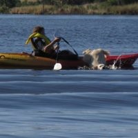 Leanne Wallinger entered this photo of Luke and pet dog kayaking on an inland lake in Western Victoria in December 2010.