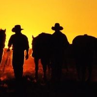 Drovers at Anna Creek Station, South Australia in August 2010. Photo entered by Paula Heelan of Clermont, Queensland.