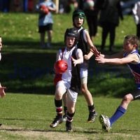 28-8-11. AJAX U 11 Comets grand final v East Malvern. Photo: Peter Haskin 28-8-11. AJAX U 11 Comets grand final v East Malvern. Photo: Peter Haskin