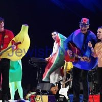 2-12-11. The Wiggles. Tammy Cohen on stage with the Wiggles at the Flemington racecourse in Melbourne singing "Fruit Salad". Tammy won a competition to be the 5th Wiggle. Photo: Peter Haskin 2-12-11. The Wiggles. Tammy Cohen on stage with the Wiggles at the Flemington racecourse in Melbourne singing "Fruit Salad". Tammy won a competition to be the 5th Wiggle. Photo: Peter Haskin
