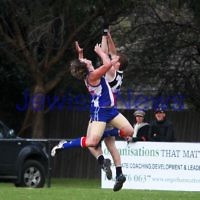 AJAX v Oakleigh. 26-5-12. Jake Lew flies for a mark. Photo: Peter Haskin AJAX v Oakleigh. 26-5-12. Jake Lew flies for a mark. Photo: Peter Haskin