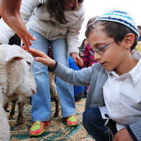 16-4-13. Yom Ha atzmaut. Family Festival at the Lamm Library. Photo: Peter Haskin