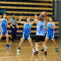 11-5-14. Maccabi Women Basketball. B Grade Warriors Gold def Albatross 22 - 10.  Photo: Peter Haskin