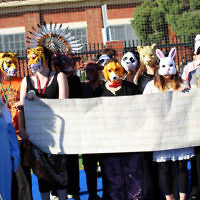 14-3-14. Sholem Aleichem College. Purim. Photo: Peter Haskin 14-3-14. Sholem Aleichem College. Purim. Photo: Peter Haskin