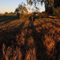 Doron Gaddie entered this sunset photo taken in Oxley, Victoria.