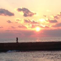 Helen Shnider entered this photo taken at sunset on the promenade of Tel Aviv Namal beach.