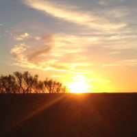 Atida Lipshatz entered this photo taken at sunrise at Uluru.