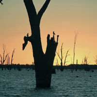Caroline Cattle entered this sunset photo taken at Lake Mulwala.