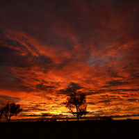 Jeni Doyle entered this sunset photo taken at Uluru Kata-Tjuta National Park in central Australia.