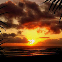 Ros Mayes entered this photo taken at sunrise at Coolum Beach, Queensland.