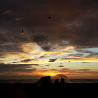 Sharon Flitman entered this sunset photo.