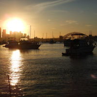 Kaylene Martens entered this sunset photo taken over Sydney Harbour on New Year’s Eve.