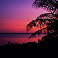 Melinda Savage entered this sunset photo.