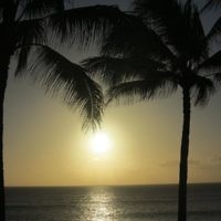 Amanda Donovan entered this sunset photo taken in Oahu, Hawaii.