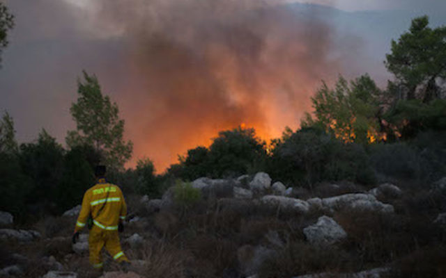 One of the devastating fires in Israel last week.
Photo by Yonatan Sindel/Flash90