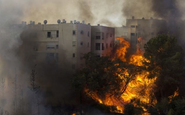 A fire burning in Haifa on November 24. Photo: AP/Ariel Schalit