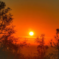 Louise Fisher entered this sunset photo taken in the Kruger National Park, South Africa.