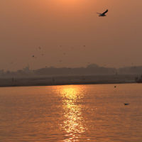 Steven Curtis entered this sunrise photo taken on the Ganges River in Varanasi, India.
